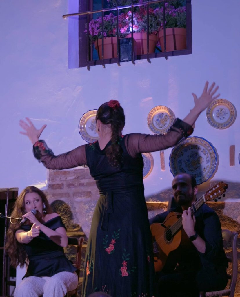 festival | entrepatios | flamenco | Casa alquiler | Orgaz | Toledo | Casa Rural | alojamiento